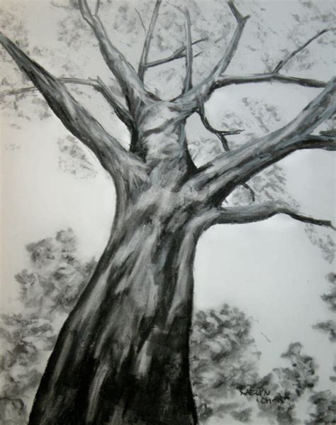 Charcoal Drawings Of Trees