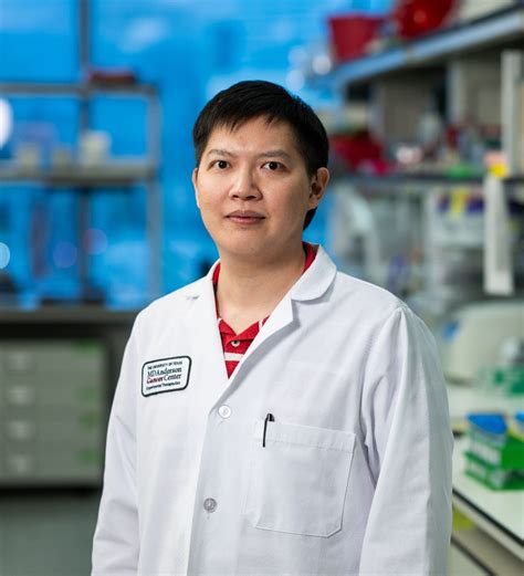 Rugang Zhang Lab Members Md Anderson Cancer Center