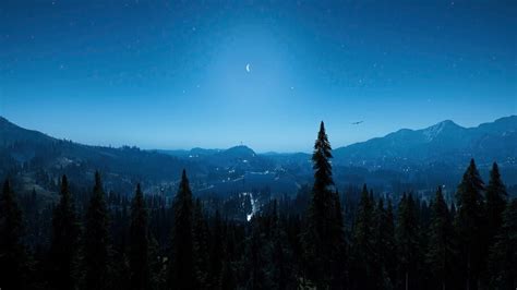 Night, Sky, Forest, Scenery, Landscape, 4K, #6.444 Wallpaper