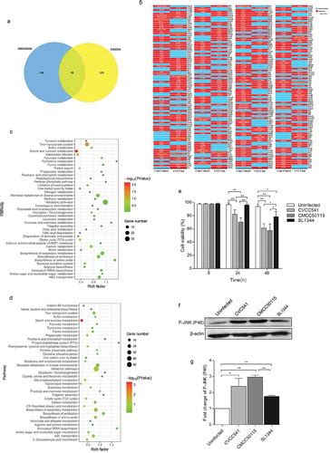 Full Article Differential Immune Responses Of C57bl6 Mice To