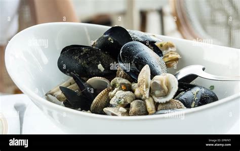 Dish Of Tasty Mixed Mediterranean Shellfish Mussels Stock Photo Alamy