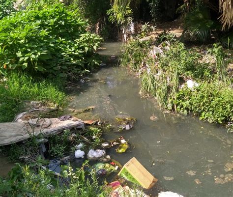 Advierten Sobre La Contaminación De Un Arroyo En Corrientes Que Genera