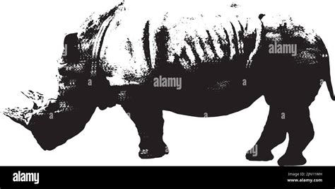 Optical illusion animal Cut Out Stock Images & Pictures - Alamy