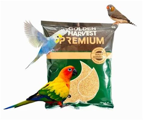 Premium Foxtail Millet 1KG Pack For Budgie Bengali Finch Love Birds