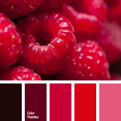 Raspberry Red Color - Raspberry