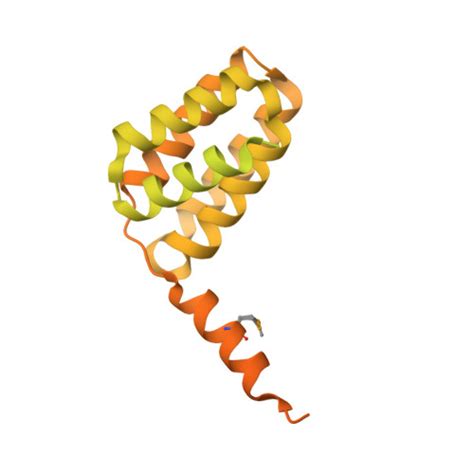 Rcsb Pdb G Crystal Structure Of The C Terminal Fragment Of Aaa