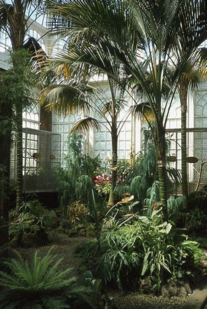 70 Amazing Home Indoor Jungle Decorations Tips And Ideas Winter