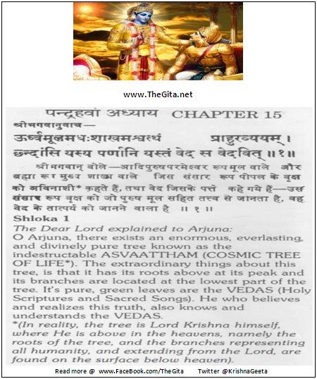 Thegita Chapter Shloka The Gita Shree Krishna Bhagwad Geeta