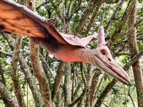 Regi O Maior Parque De Dinossauros Do Mundo A Terra Dos Dinos Abre