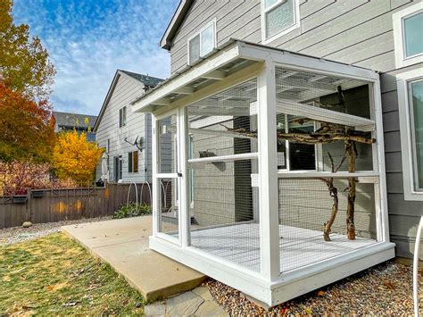 Outdoor Cat Enclosures Connected To House Cat Topia