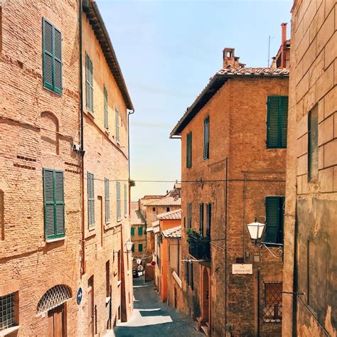 Siena Segreta Antonella Piredda Guida Turistica Abilitata Per Siena