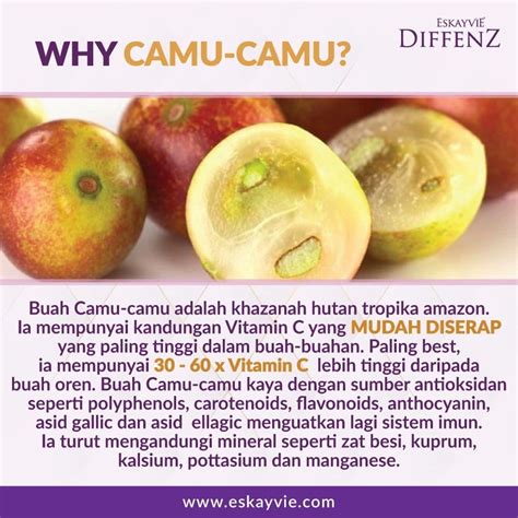 Suplemen Vitamin C Terbaik Daripada Bahan Semulajadi Ohcantik