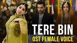 Tere Bin Ost Ft Yumna Zaidi Wahaj Ali Shani Arshad Har Pal Geo Th Sky