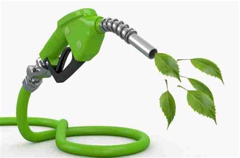 What Are Biofuels Ecomena