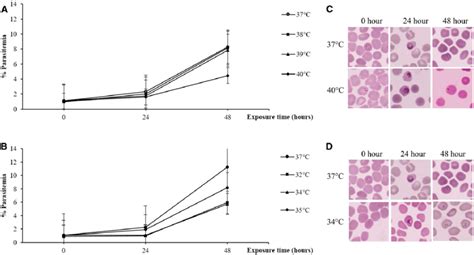 Comparison Of Parasite Growth Between In Vitro Cultures Of Plasmodium