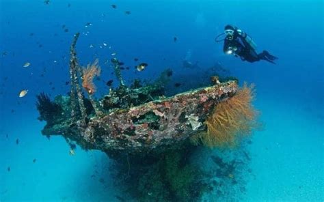 Spot Menyelam Terindah Di Raja Ampat Indonesiajuara