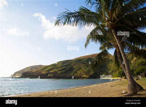 A secluded beach in Oahu, Hawaii Stock Photo - Alamy