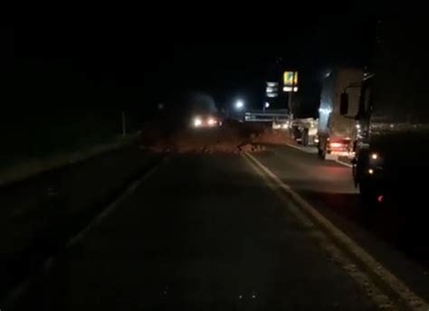 Manifestantes voltam a fechar duas rodovias no Paraná