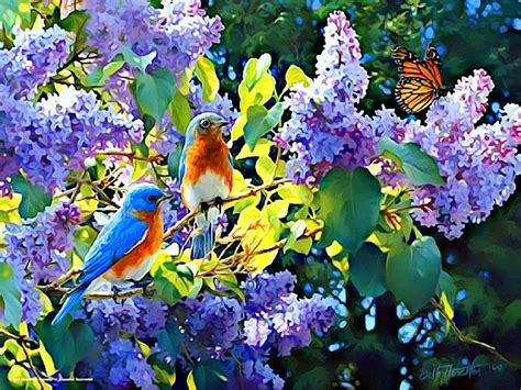 Spring Birds Wallpapers Top Free Spring Birds Backgrounds