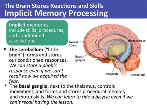 Psychology Of Memory