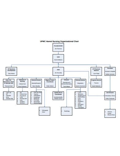 5+ Nursing Organizational Chart Templates in PDF