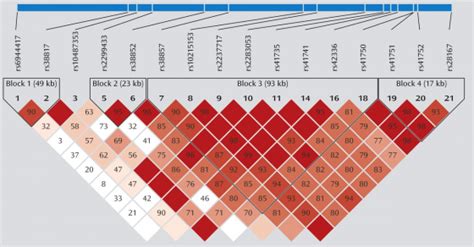 A Collection Of Bioinformatics Genomics And Neurology