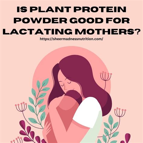 Is Plant Protein Powder Good For Lactating Mothers By Sheermadness