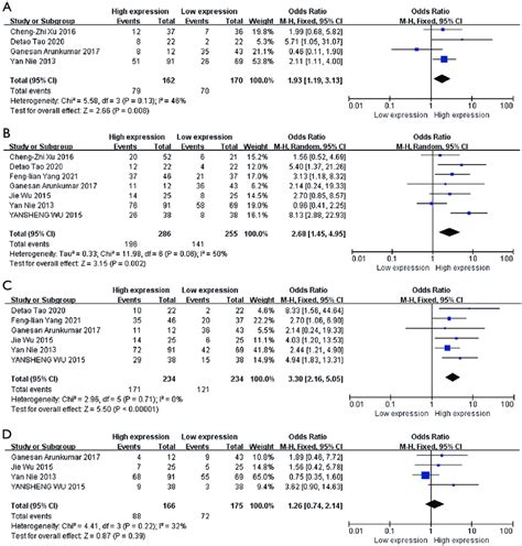 Forest Plot Of Pooled Ors For Clinicopathological Features And High