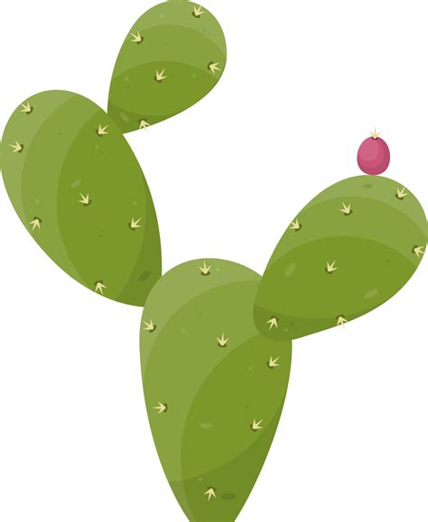 Cartoon Desert Cactus Plant Png