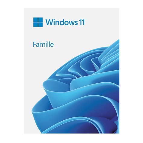 Microsoft Windows 11 Home 64 Bits Oem Dvd Windows Ldlc