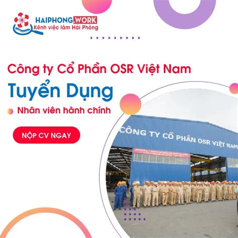 Công Ty Cổ Phần Osr Việt Nam Tuyển Nhân Viên Kế Toán Việc Làm Hải Phòng