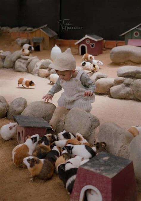 Mongo Land Dalat Chia Sẻ Kinh Nghiệm Du Lịch Từ A Z