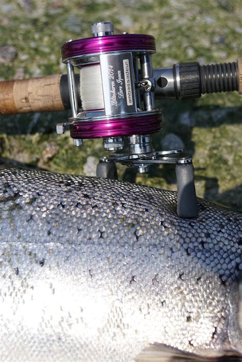 Fiskedagbog Dk Jubil Um Fiskekonkurrence Og Lidt Ulovligheder