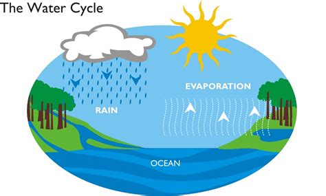 THE WATER CYCLE KS2 | THE WATER CYCLE KS2