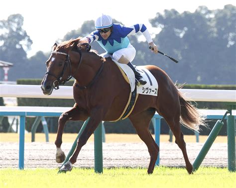 ヴィブロスの子シヴァースが新馬勝ち ルメール騎手「2歳馬に見えなかった」／新馬戦 2歳馬特集 競馬写真ニュース 日刊スポーツ