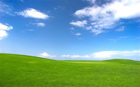 Bliss Desktop Wallpaper. | Backgrounds desktop, Windows desktop ...