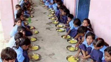 Shocking Lizard Found In Uttar Pradeshs Schools Mid Day Meal Read