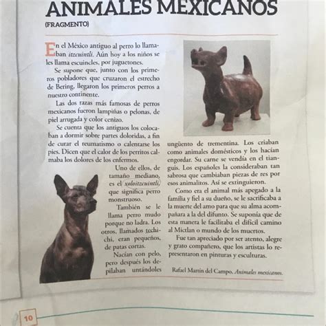 Responde Lo Siguiente A En El Texto Se Menciona La Evoluci N De