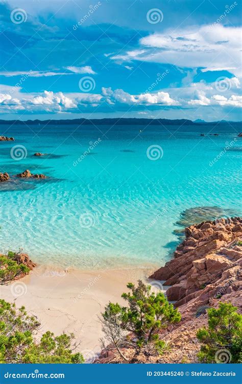 Amazing Pink Sand Beach in Budelli Island, Maddalena Archipelago ...