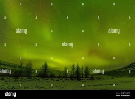 Northern Lights Over Putoransky State Nature Reserve Putorana Plateau Siberia Russia Stock