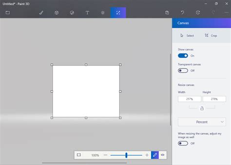 How do I customize the size of Paint 3D’s Canvas? - Microsoft Community