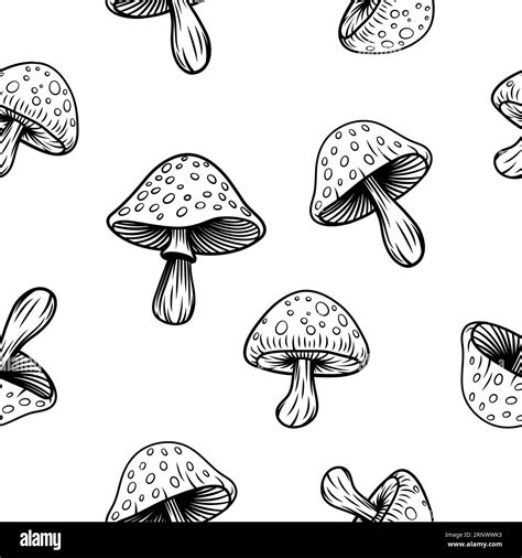 Vector Black And White Seamless Pattern With Hand Drawn Cartoon