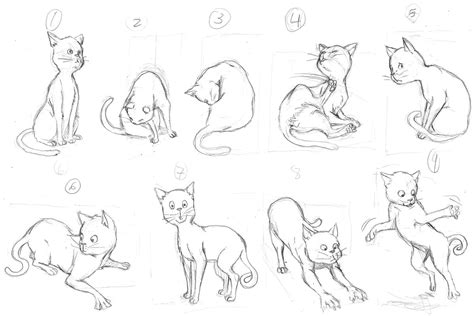 Top 81 Anime Cat Poses Incdgdbentre