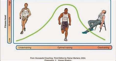 Correayo Conoces Los Principios Del Entrenamiento