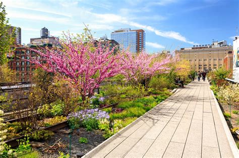 The Highline Park Nyc Walking From Chelsea Market To Hudson Yards