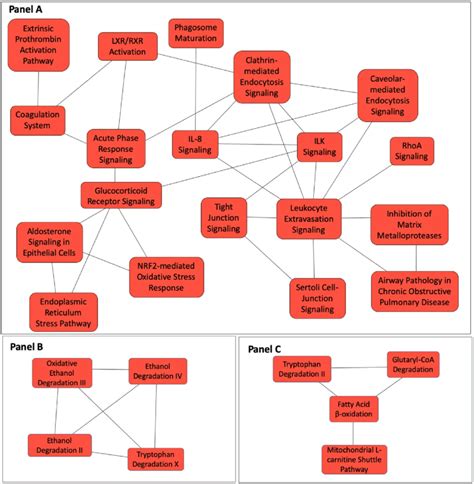 Cellular Canonical Pathways Represented By Differentially Expressed Download Scientific Diagram