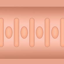 Amazon Cloud 9 Novelties Pussy Anal Body Mold With Bonus Drying Pouch Flesh Health