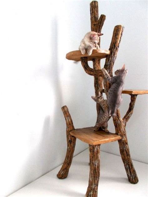 16 Fantastic Driftwood Furniture Ideas Cat Tree Diy Cat Tree Cat Diy