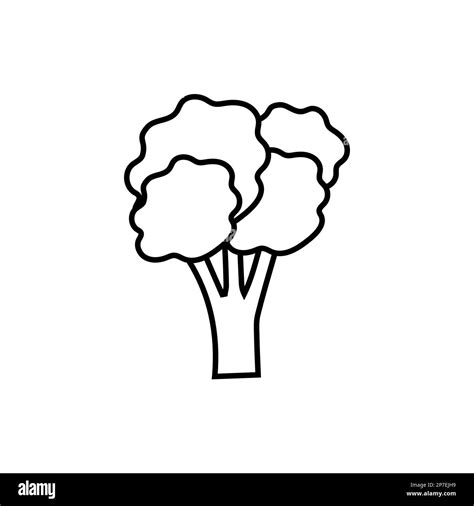 Broccoli Icon Vector Filled Flat Sign Solid Pictogram Isolated On