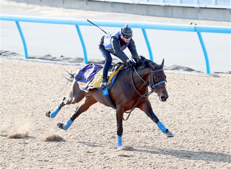 【東京新聞杯】ショウナンマグマ距離短縮で先行力を生かす 日刊ゲンダイ競馬